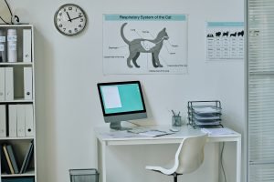 Workplace of vet doctor at vet clinic